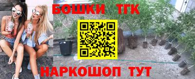 гашик Малгобек