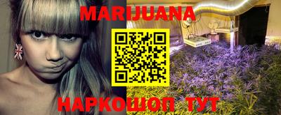 гашик Малгобек