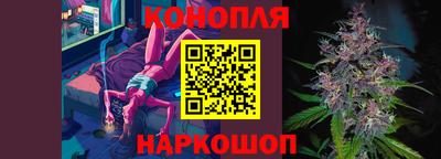 гашик Малгобек